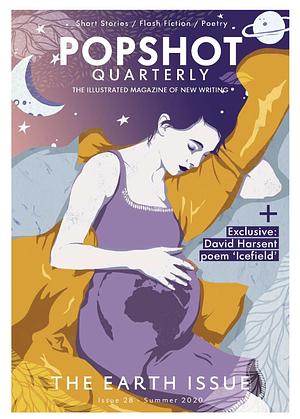 Popshot Quarterly: The Earth Issue by Various