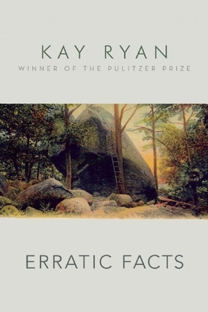 Erratic Facts by Kay Ryan