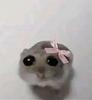sorcha127's profile picture