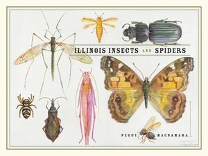 Illinois Insects and Spiders by Paul Goldstein, Division of Insects at the Field Museum, Peggy Macnamara, Jim Boone, Chris Grinter, Maggie Daley
