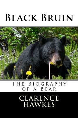 Black Bruin by Clarence Hawkes