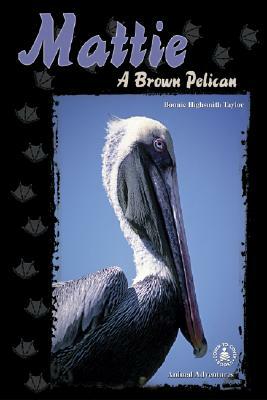 Mattie: A Brown Pelican by Bonnie Highsmith Taylor