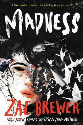 Madness by Z Brewer