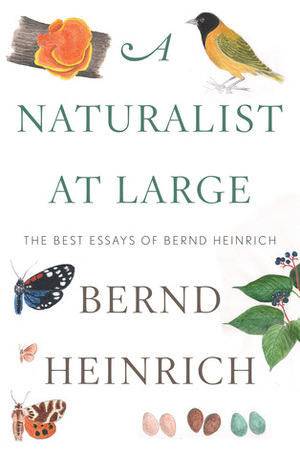 A Naturalist at Large: The Best Essays of Bernd Heinrich by Bernd Heinrich