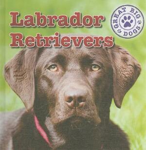 Labrador Retrievers by Maria Nelson