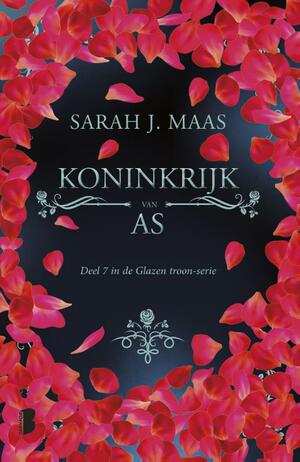 Koninkrijk van As by Sarah J. Maas