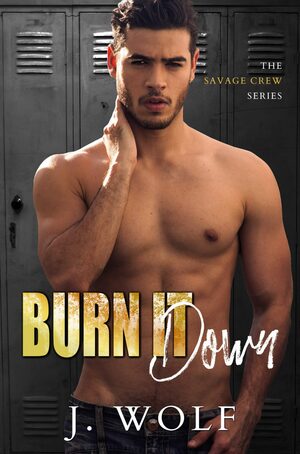 Burn it Down by Julia Wolf