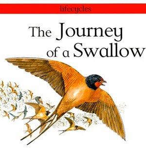 The Journey of a Swallow by Carolyn Scrace, David Salariya