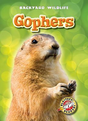 Gophers by Derek Zobel