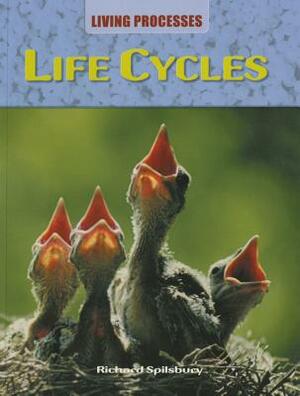 Life Cycles by Richard Spilsbury