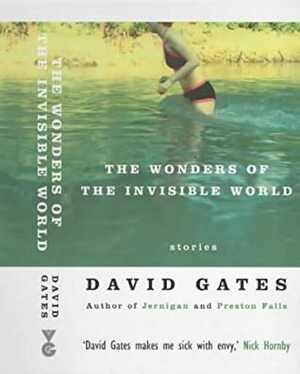 The Wonders Of The Invisible World by David Gates
