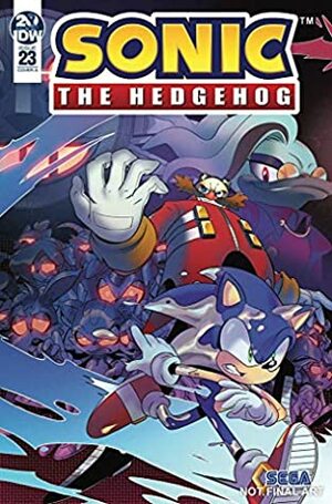 Sonic The Hedgehog (2018-) #23 by Ian Flynn, Jack Lawrence