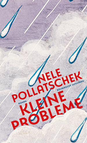 Kleine Probleme by Nele Pollatschek