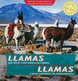 Llamas and Other Latin American Camels/Llamas y Otros Camelido S de Latinoamerica by Zella Williams