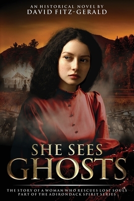 She Sees Ghosts - The Story of a Woman Who Rescues Lost Souls: Part of the Adirondack Spirit Series by David Fitz-Gerald