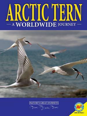 Arctic Terns: A Worldwide Journey by Rebecca Hirsch