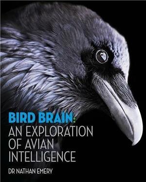 Bird Brain: An exploration of avian intelligence by Nathan J. Emery, Nathan J. Emery