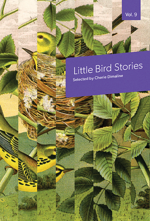 Little Bird Stories, Volume 9 by Cherie Dimaline