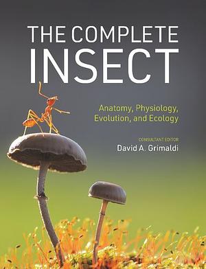 The Complete Insect: Anatomy, Physiology, Evolution, and Ecology by David A. Grimaldi