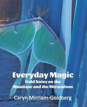 Everyday Magic: Field Notes on the Mundane and the Miraculous by Caryn Mirriam-Goldberg