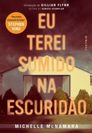 Eu terei sumido na escuridão by Michelle McNamara