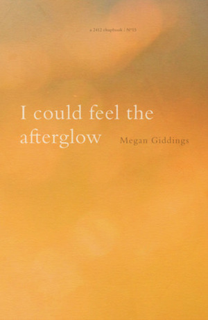I could feel the afterglow (2412 #15) by Megan Giddings