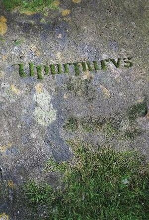Upurpurvs by Susanne Jānsone, Susanne Jansson
