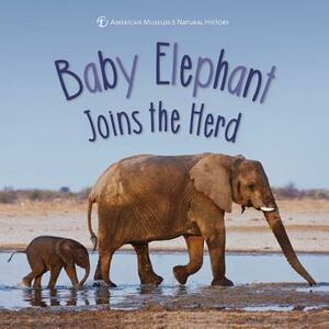 Baby Elephant Joins the Herd by American Museum of Natural History
