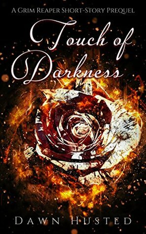 Touch of Darkness by Dawn Husted