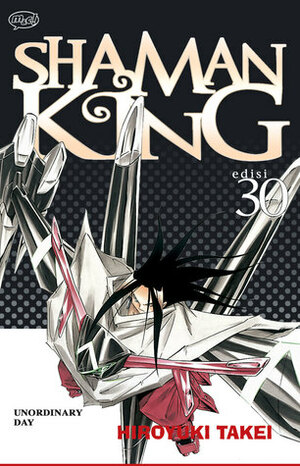 Shaman King Vol. 30: Unordinary Day by Hiroyuki Takei