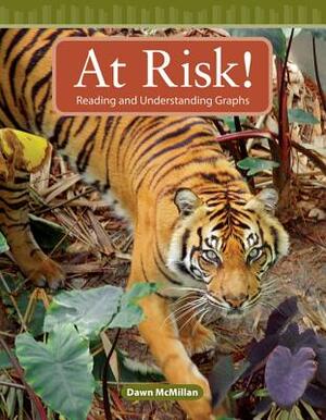 At Risk! (Level 3) by Dawn McMillan