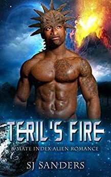 Teril's Fire by S.J. Sanders