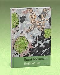 Burnt Mountain  by Emily Wilson