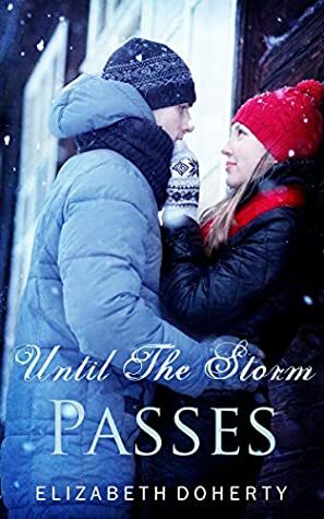 Until the Storm Passes by Elizabeth Doherty