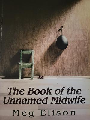 The Book of the Unnamed Midwife by Meg Elison