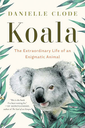 Koala: The Extraordinary Life of an Enigmatic Animal by Danielle Clode, Danielle Clode