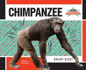 Chimpanzee: Brainy Beast by Paige V. Polinsky