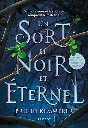 Un sort si noir et éternel by Brigid Kemmerer