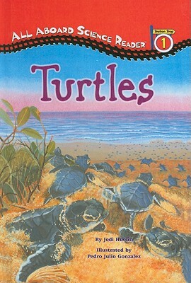 Turtles by Jodi Huelin