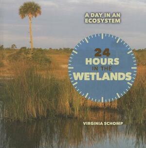 24 Hours in the Wetlands by Virginia Schomp