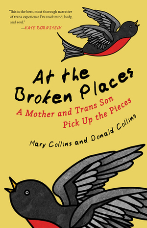 At the Broken Places: A Mother and Trans Son Pick Up the Pieces by Donald Collins, Mary Collins