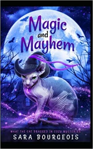Magic and Mayhem by Sara Bourgeois