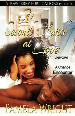 A Second Chance at Love: A Chance Encounter by Pamela Wright