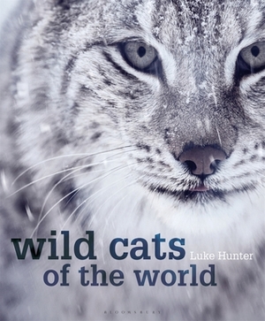 Wild Cats of the World by Luke Hunter