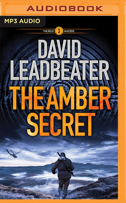 The Amber Secret by David Leadbeater