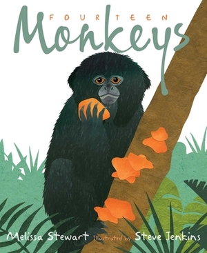 Fourteen Monkeys: A Rain Forest Rhyme by Melissa Stewart