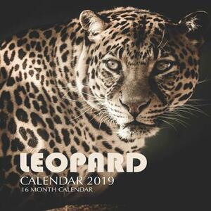 Leopard Calendar 2019: 16 Month Calendar by Mason Landon