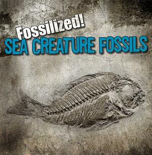 Sea Creature Fossils by Kathleen Connors