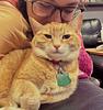 ameliag93's profile picture