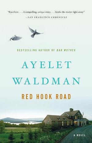 Red Hook Road by Ayelet Waldman